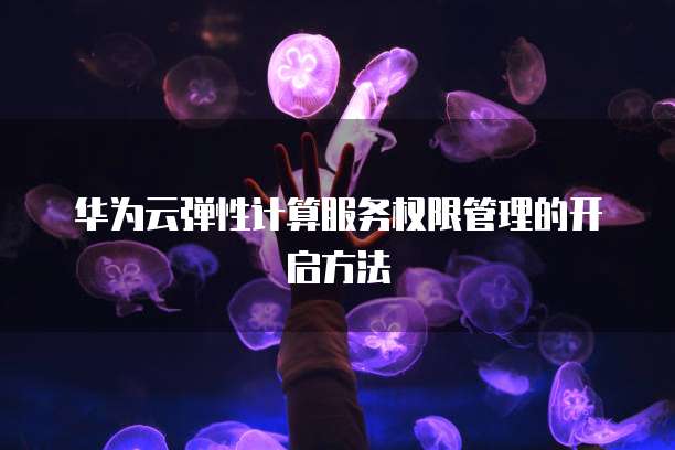 华为云弹性计算服务权限管理的开启方法