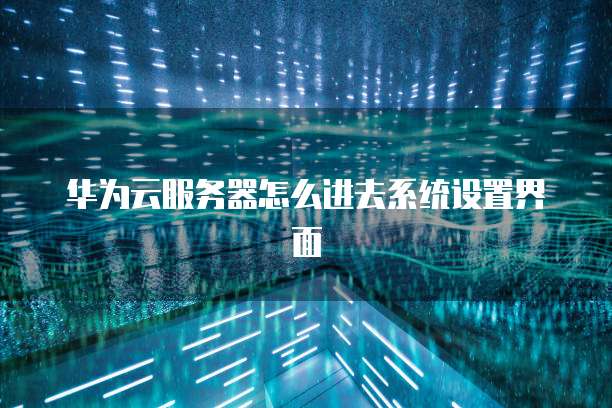 华为云服务器怎么进去系统设置界面