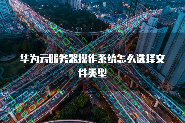 华为云服务器操作系统怎么选择文件类型