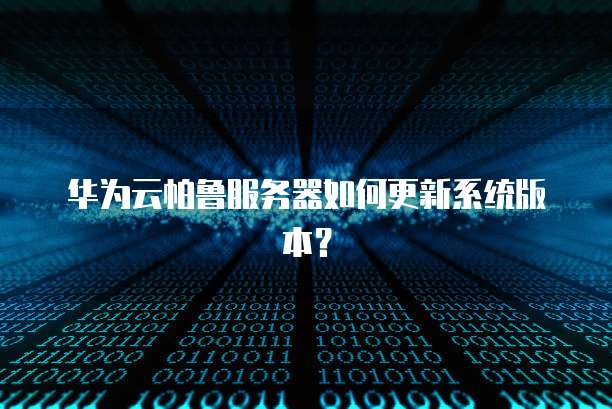华为云帕鲁服务器如何更新系统版本?