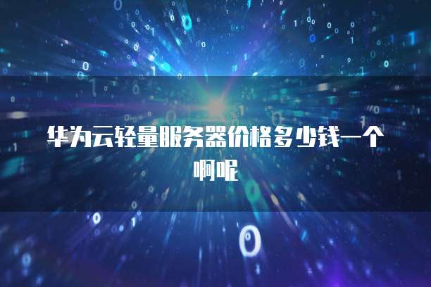 华为云轻量服务器价格多少钱一个啊呢