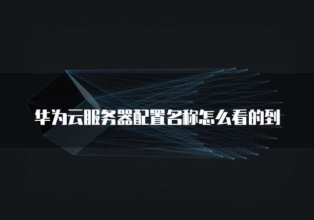 华为云服务器配置名称怎么看的到