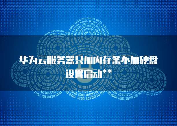 华为云服务器只加内存条不加硬盘设置启动