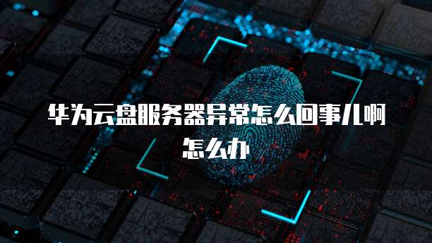 华为云盘服务器异常怎么回事儿啊怎么办