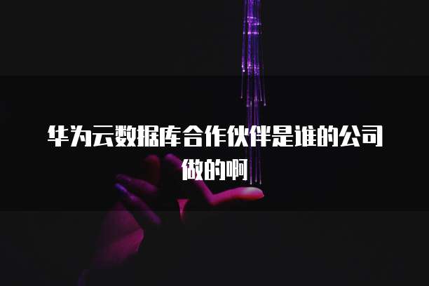 华为云数据库合作伙伴是谁的公司做的啊
