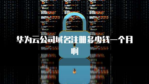 华为云公司域名注册多少钱一个月啊