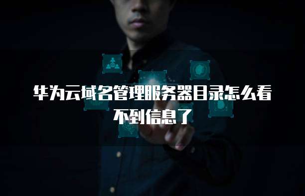 华为云域名管理服务器目录怎么看不到信息了