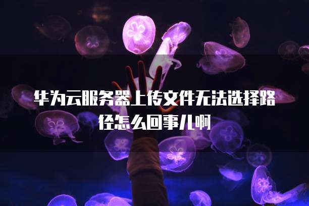 华为云服务器上传文件无法选择路径怎么回事儿啊
