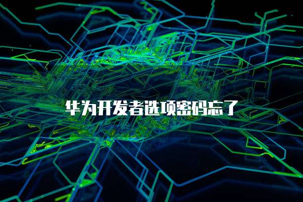 华为云服务器远程登录上传源码是什么格式