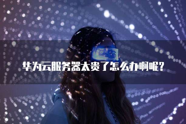 华为云服务器太贵了怎么办啊呢?