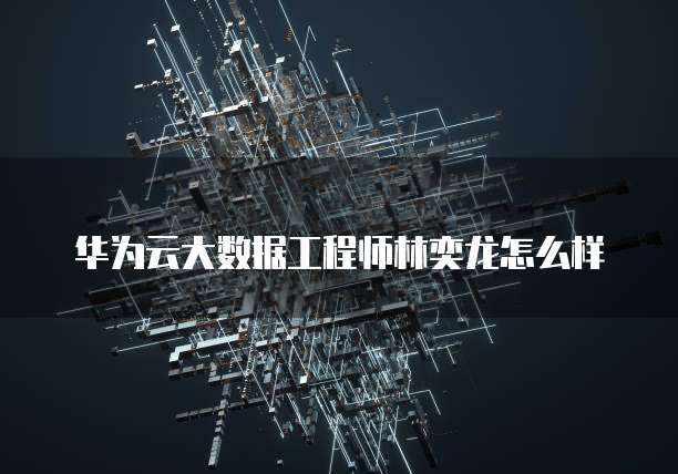 华为云大数据工程师林奕龙怎么样