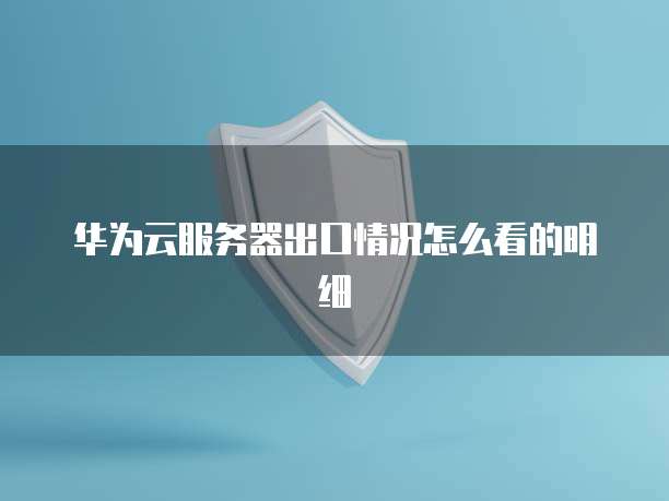华为云服务器出口情况怎么看的明细