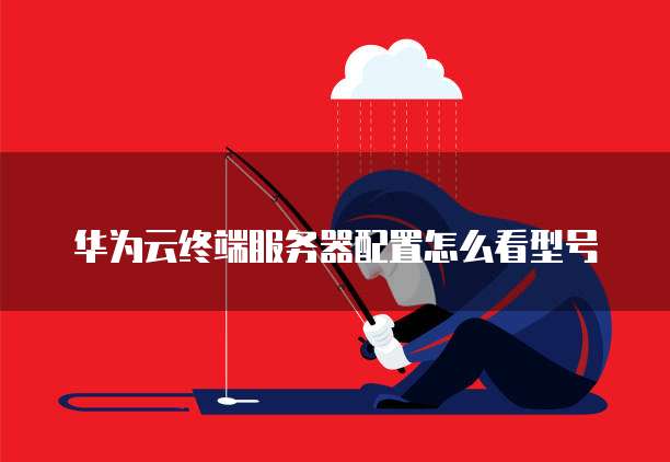 华为云终端服务器配置怎么看型号