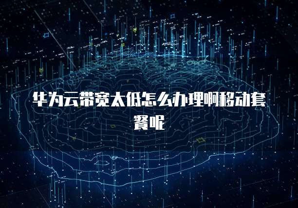 华为云带宽太低怎么办理啊移动套餐呢