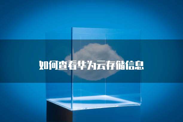 如何查看华为云存储信息