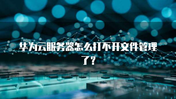 华为云服务器怎么打不开文件管理了?
