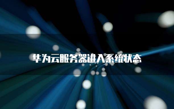 华为云服务器进入系统状态
