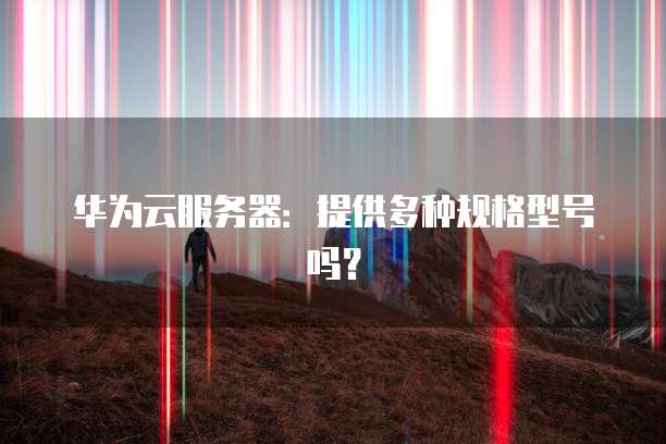 华为云服务器:提供多种规格型号吗?