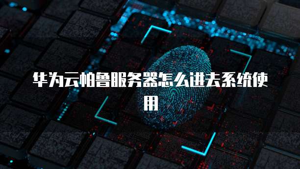华为云帕鲁服务器怎么进去系统使用