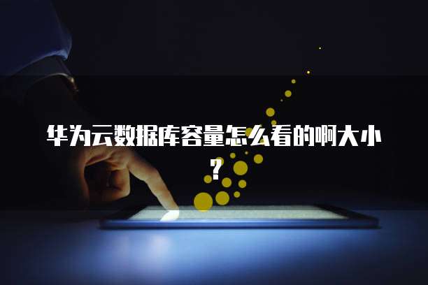华为云数据库容量怎么看的啊大小?