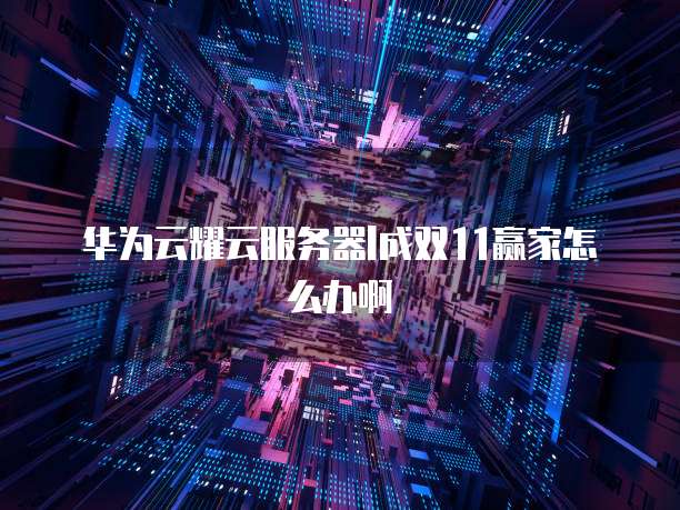 华为云耀云服务器l成双11赢家怎么办啊