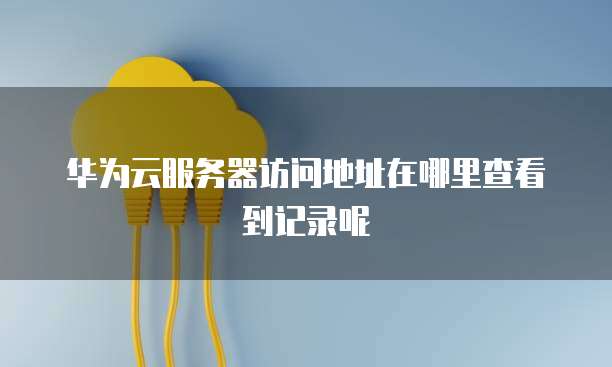 华为云服务器访问地址在哪里查看到记录呢