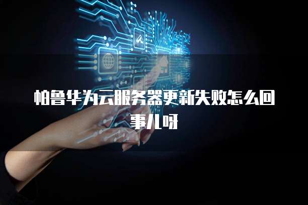 帕鲁华为云服务器更新失败怎么回事儿呀