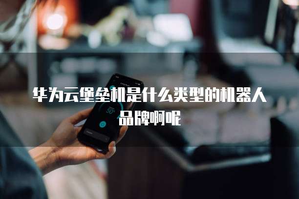 华为云堡垒机是什么类型的机器人品牌啊呢