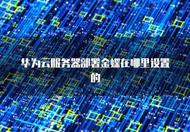 华为云服务器部署金蝶在哪里设置的