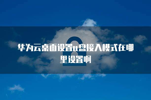 华为云桌面设置u盘接入模式在哪里设置啊