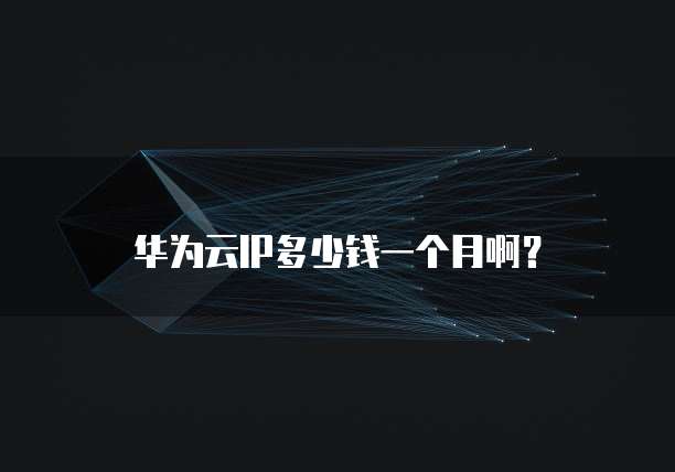 华为云IP多少钱一个月啊?