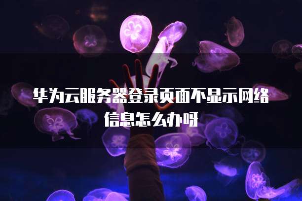 华为云服务器登录页面不显示网络信息怎么办呀