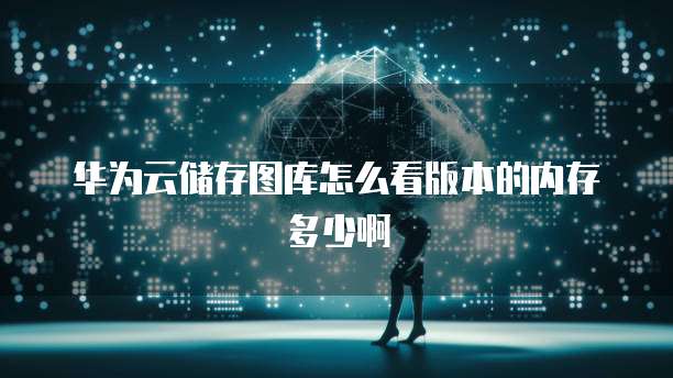 华为云储存图库怎么看版本的内存多少啊