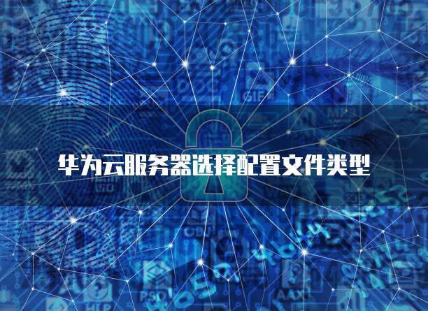 华为云服务器选择配置文件类型
