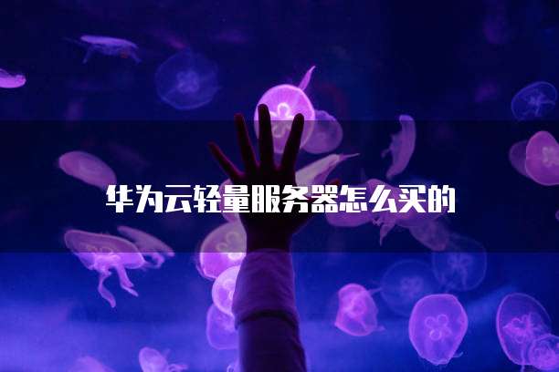 华为云轻量服务器怎么买的