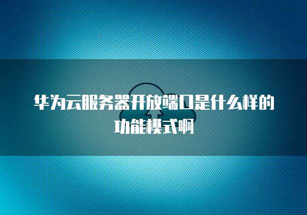 华为云服务器开放端口是什么样的功能模式啊