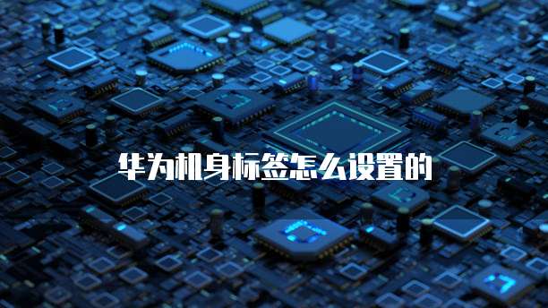 华为云耀云服务器引领初创功能怎么用