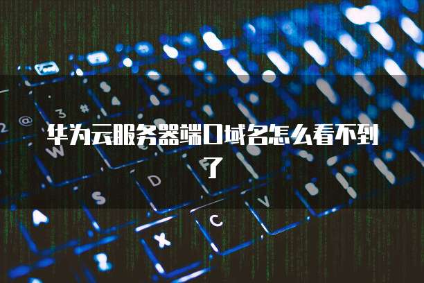 华为云服务器端口域名怎么看不到了
