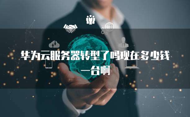 华为云服务器转型了吗现在多少钱一台啊