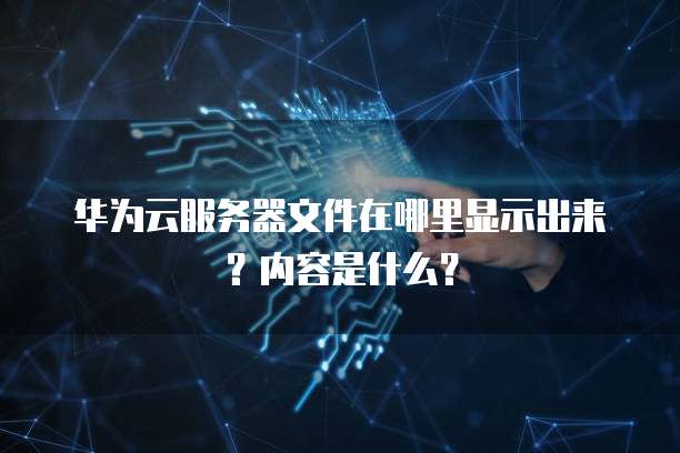 华为云服务器文件在哪里显示出来?内容是什么?