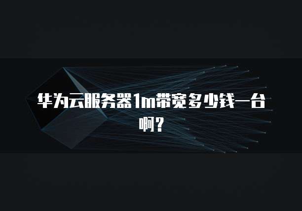 华为云服务器1m带宽多少钱一台啊?