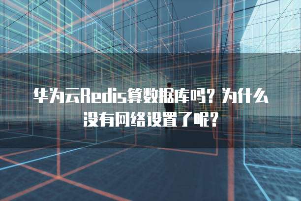 华为云Redis算数据库吗?为什么没有网络设置了呢?