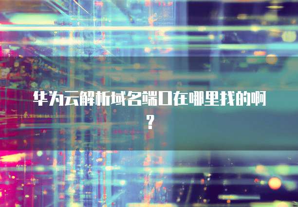 华为云解析域名端口在哪里找的啊?
