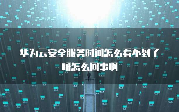华为云安全服务时间怎么看不到了呀怎么回事啊