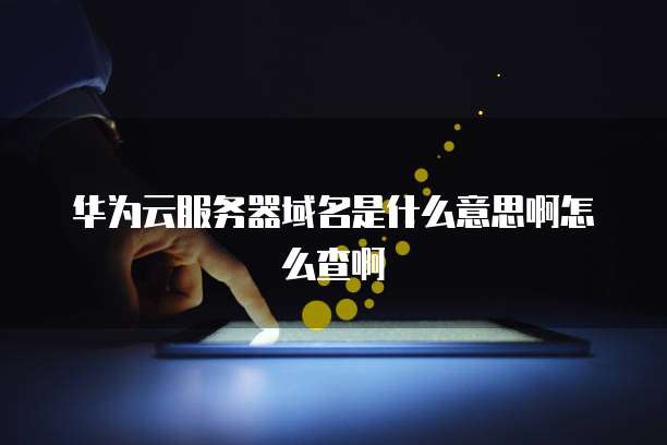 华为云服务器域名是什么意思啊怎么查啊