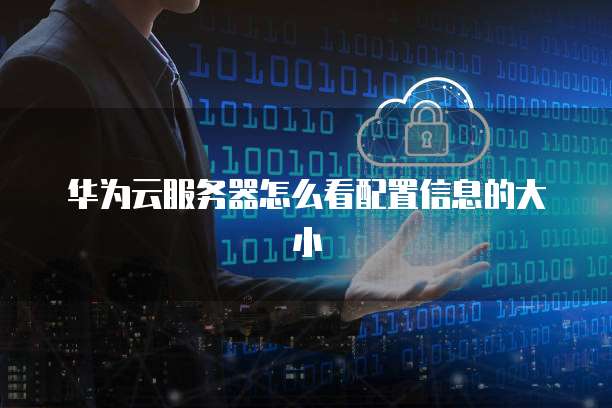 华为云服务器怎么看配置信息的大小
