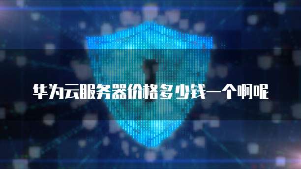 华为云服务器价格多少钱一个啊呢