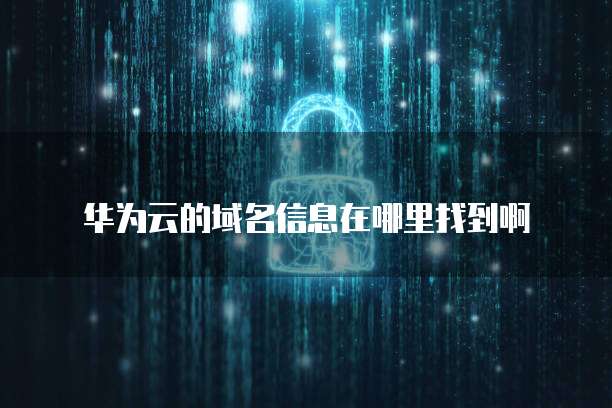 华为云的域名信息在哪里找到啊