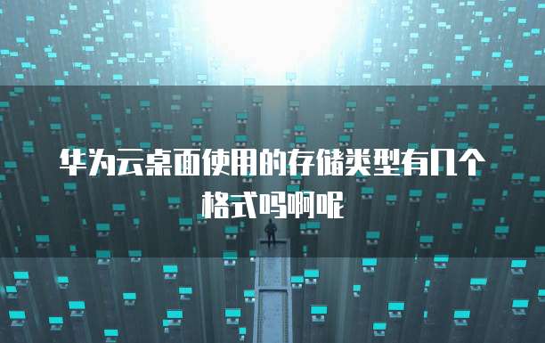 华为云桌面使用的存储类型有几个格式吗啊呢