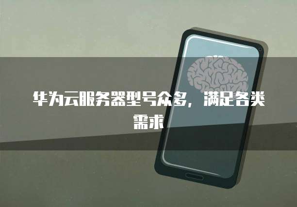华为云服务器型号众多，满足各类需求